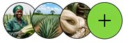 Product image for Grosso Sisal Tanzania