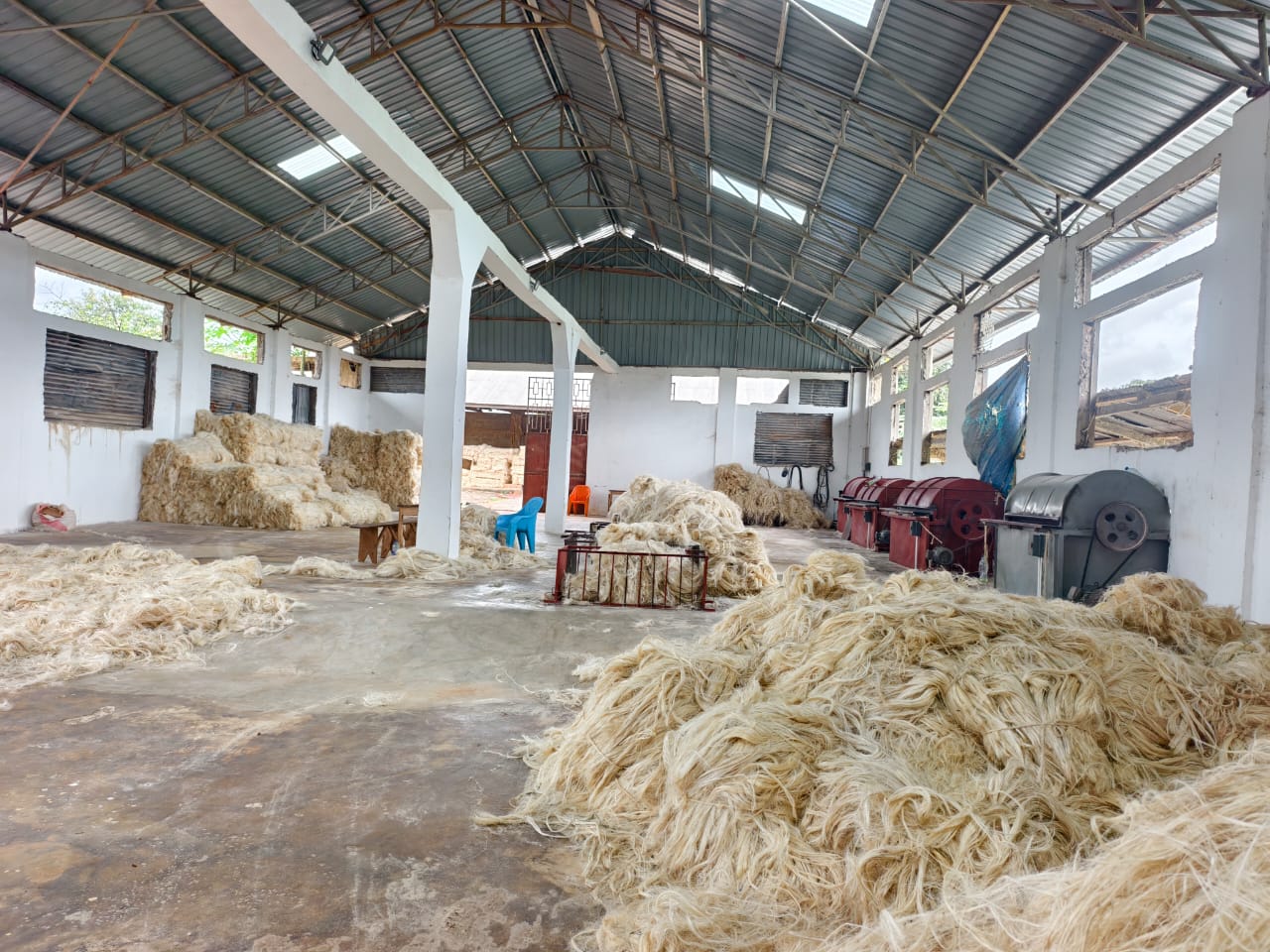 Sisal fibre warehouse at Grosso Sisal Industries