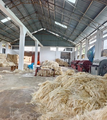 Product image for Grosso Sisal Tanzania