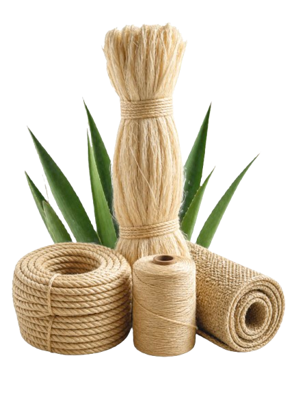 Home image for Grosso Sisal Tanzania