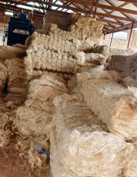 Product image for Grosso Sisal Tanzania