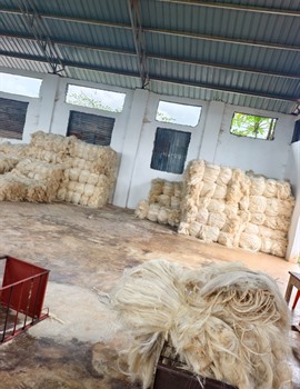 Product image for Grosso Sisal Tanzania