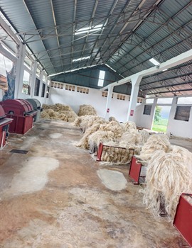 Product image for Grosso Sisal Tanzania