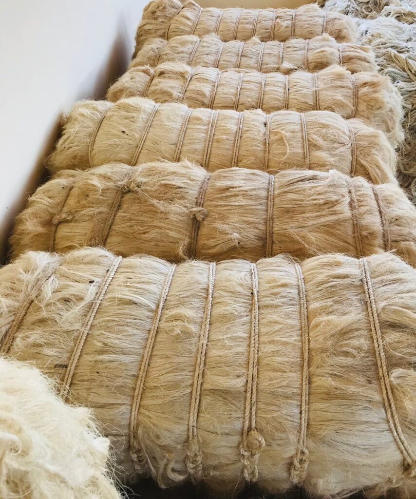 sisal fibre new